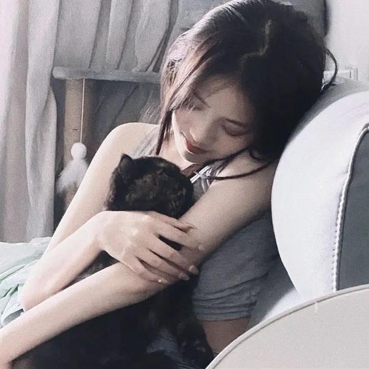 猛虎嗅蔷薇之替天行盗